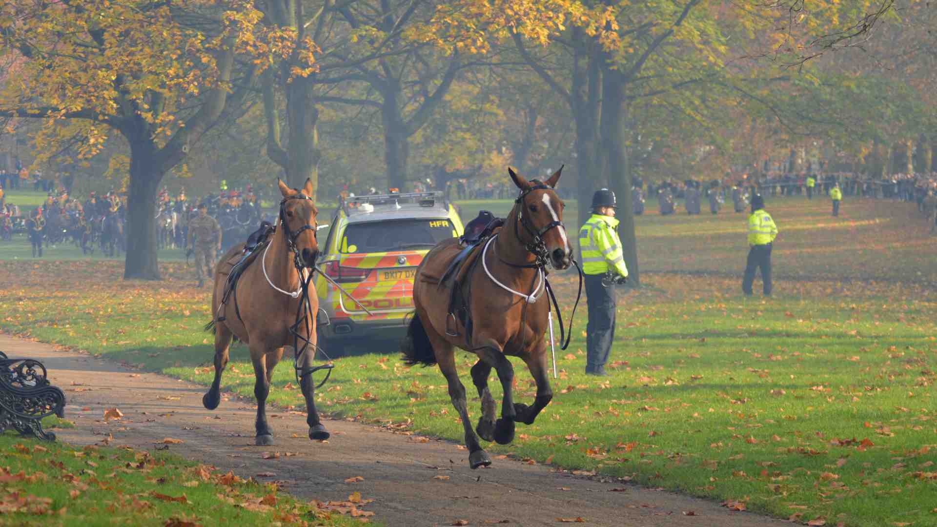 La campagna elettorale nel Regno Unito fa imbizzarrire i cavalli