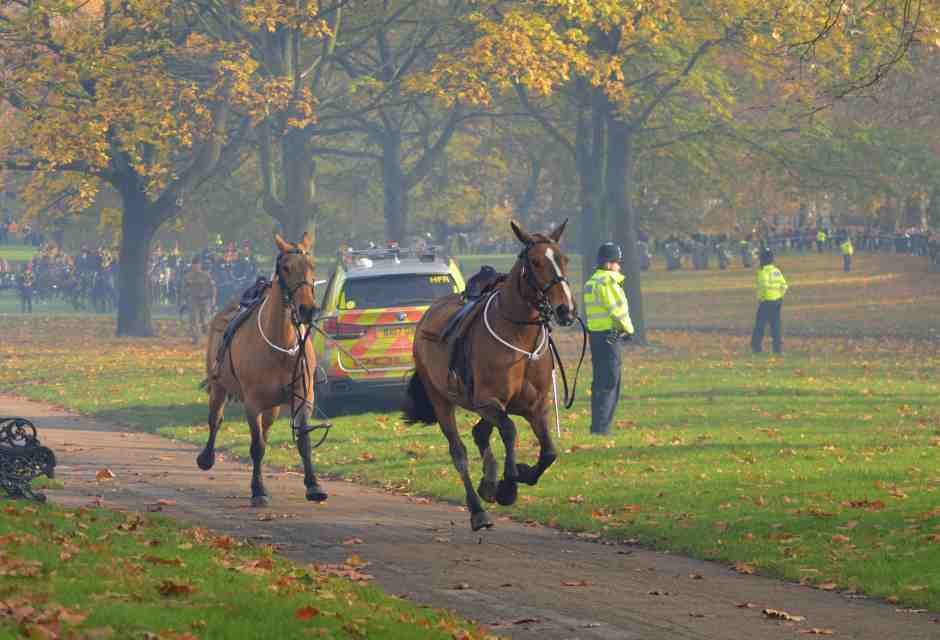La campagna elettorale nel Regno Unito fa imbizzarrire i cavalli