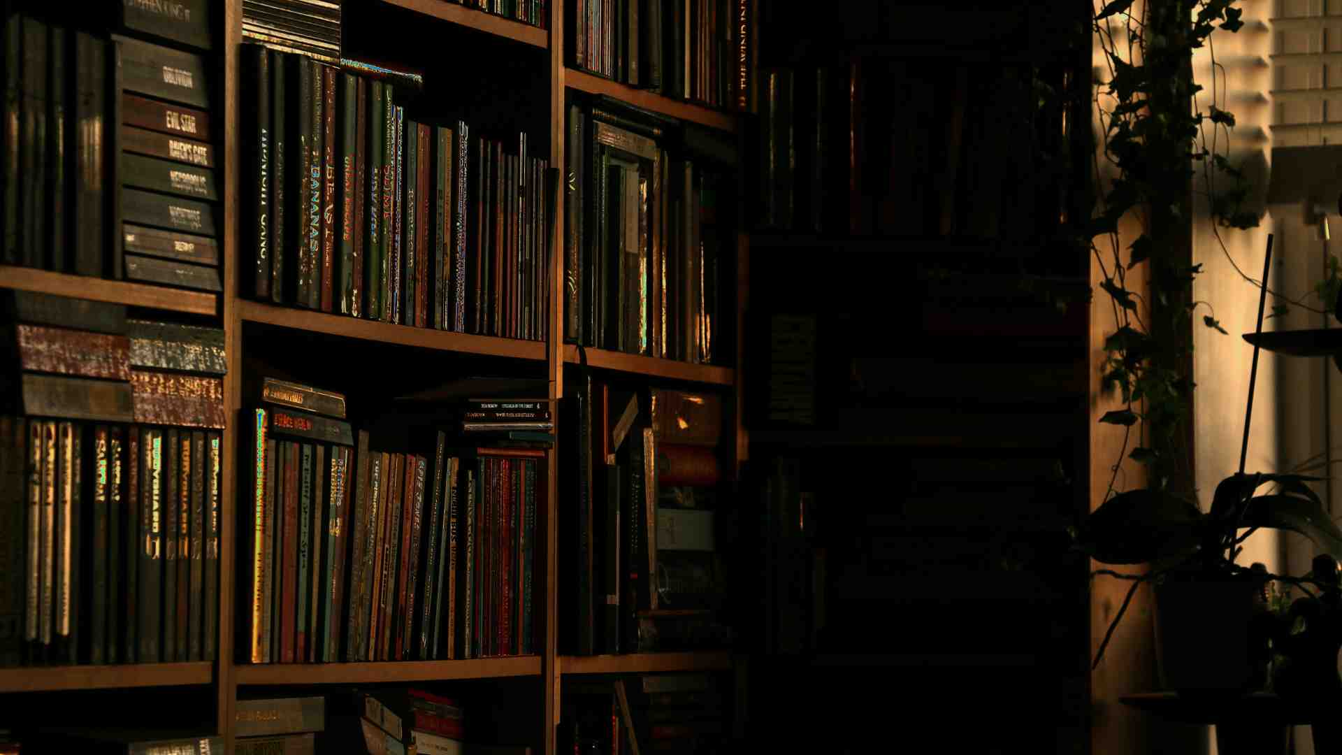 Se gli scrittori hanno una coscienza, è affar loro e basta