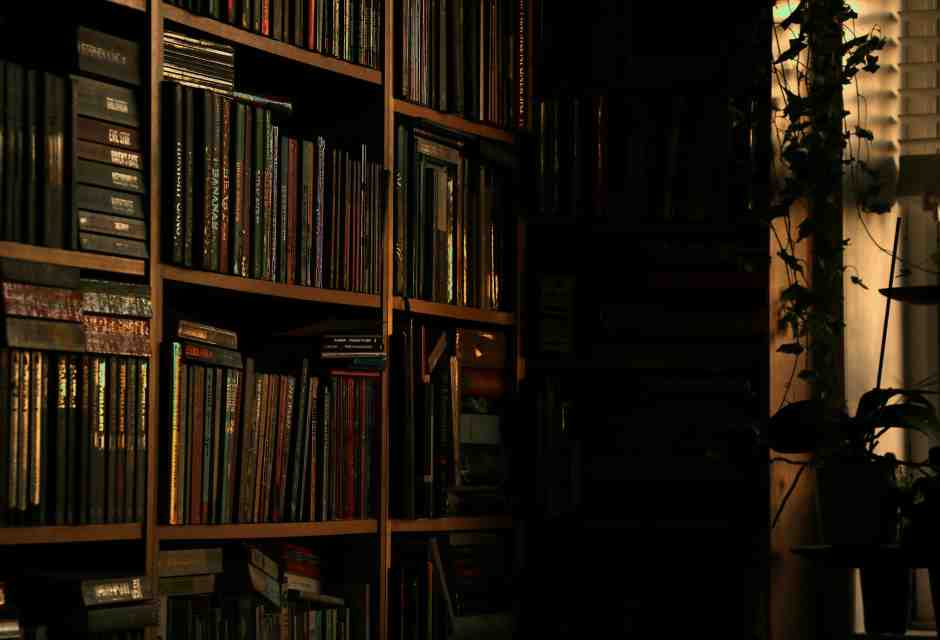 Se gli scrittori hanno una coscienza, è affar loro e basta