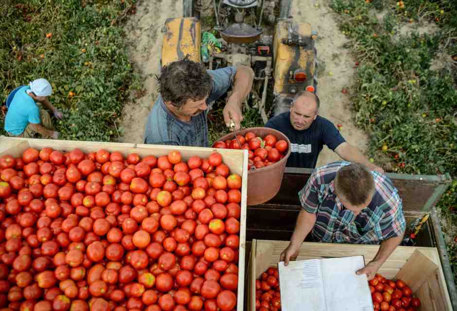 L’esaltazione del prodotto tipico, un tic di chi vorrebbe “farci vivere di turismo”
