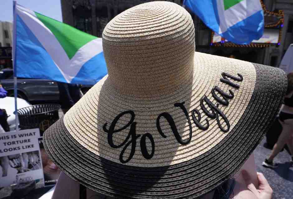 Una telefonata per farsi due risate sul veganismo. Ma anche per rifletterci su