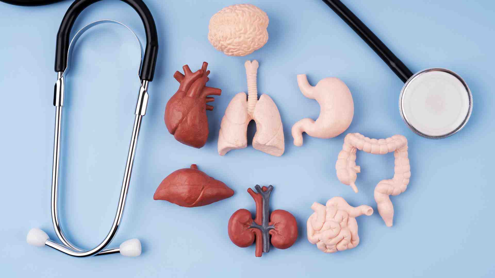 Al consenso alla donazione degli organi rispondo con un “No” secchissimo