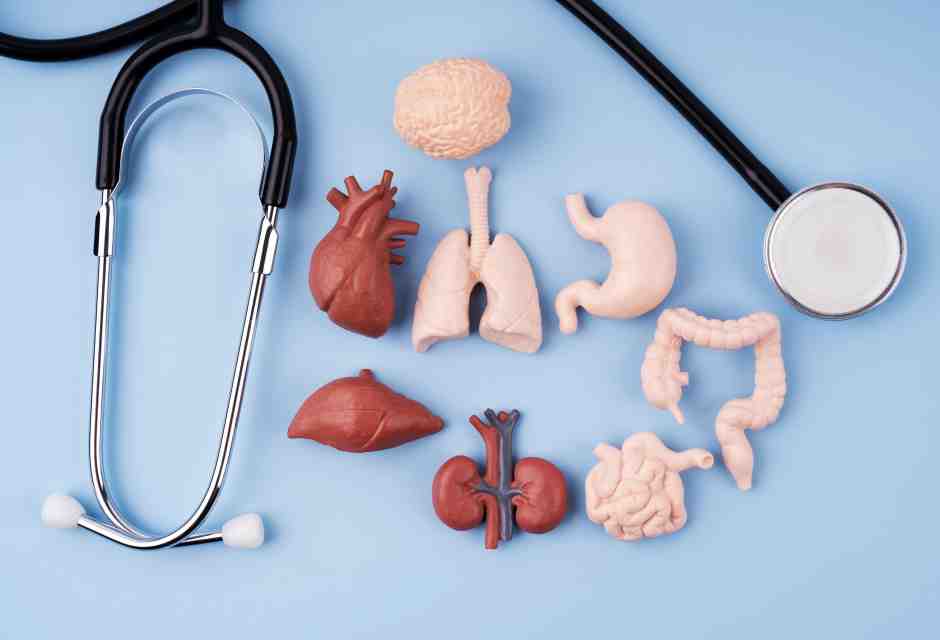 Al consenso alla donazione degli organi rispondo con un “No” secchissimo