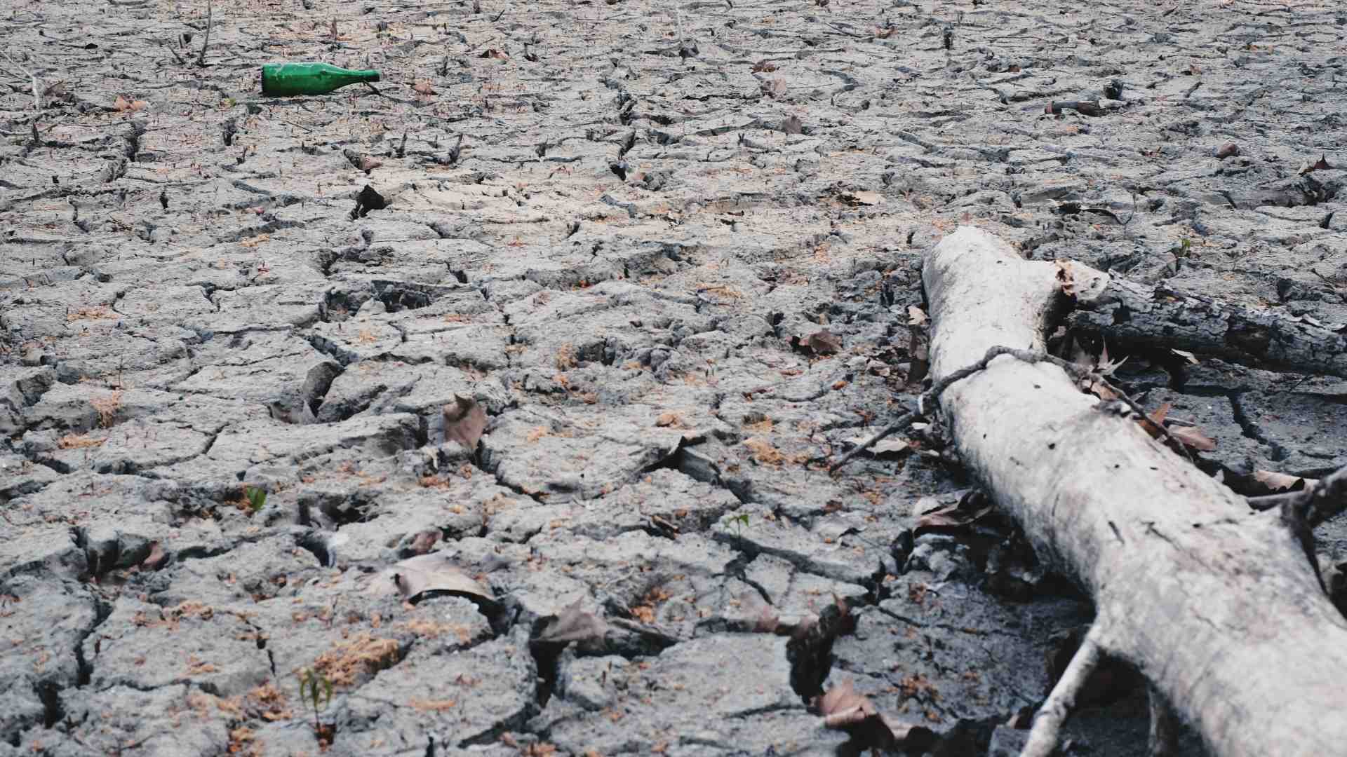 La crisi idrica è una crisi politica, non climatica, e la destra ora ne è gravemente complice. Ecco perché