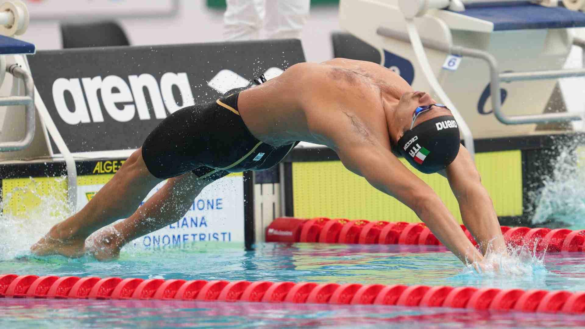 Quei corpi strani, stretti, lunghi, eppure perfetti per nuotare