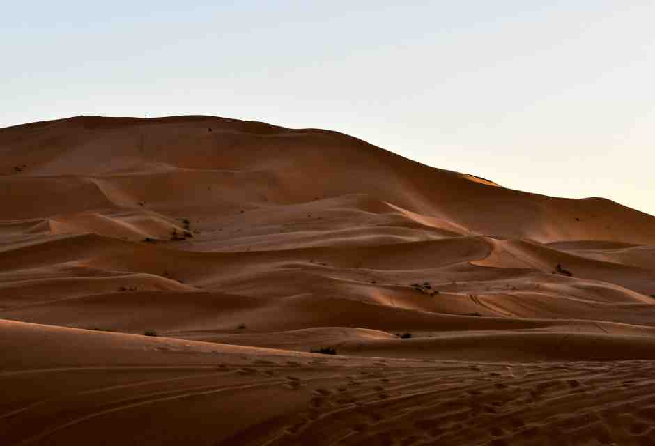 Travolti da un'insolita luce saudita