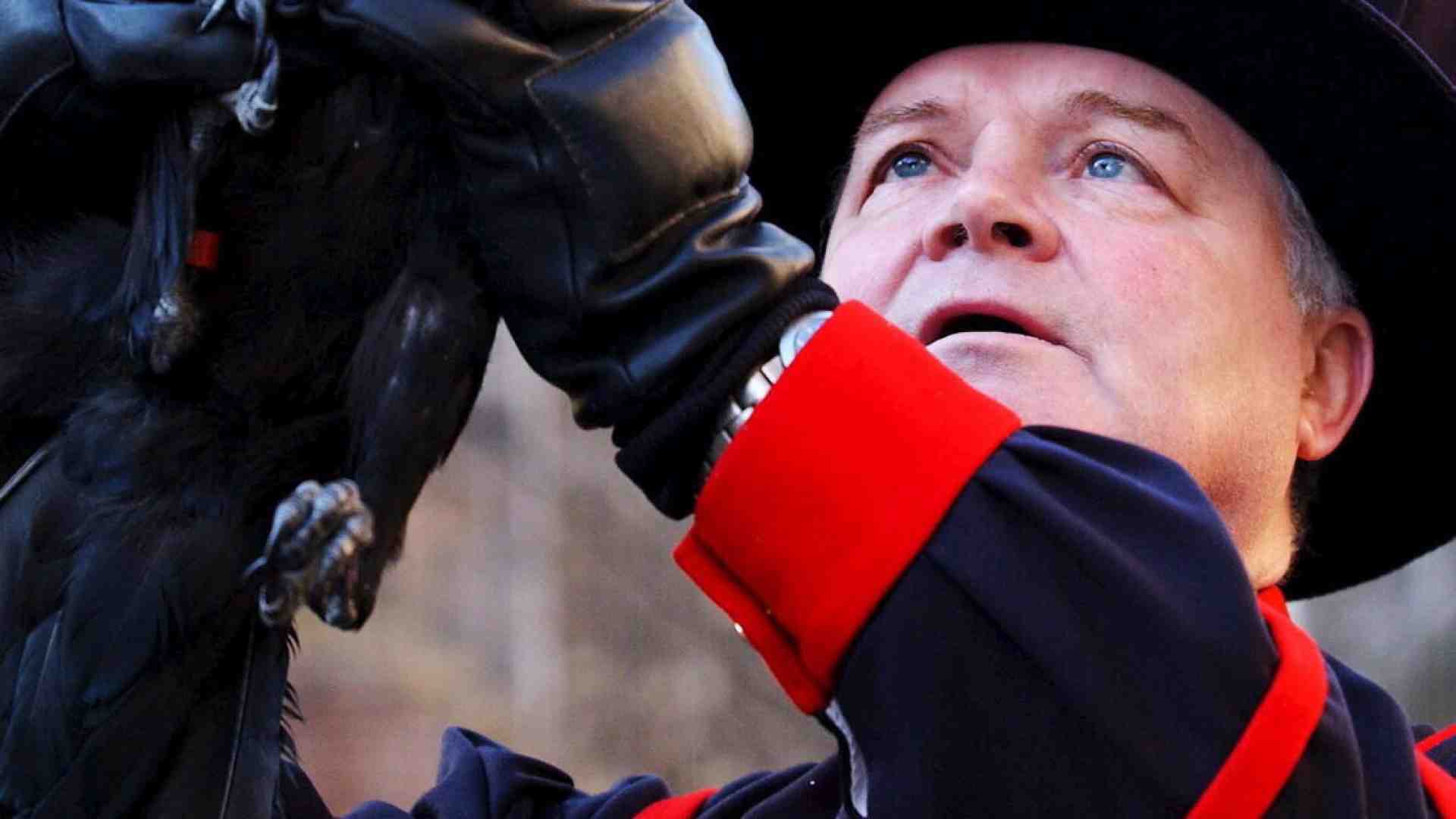 Teste di corvo. Come siamo diventati amici delle cornacchie