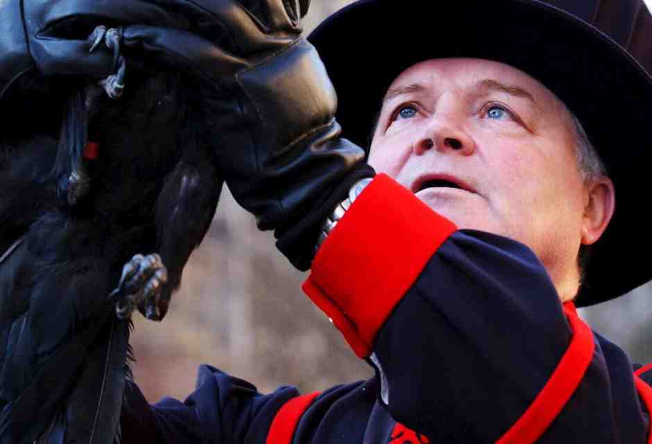 Teste di corvo. Come siamo diventati amici delle cornacchie