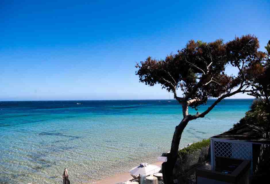 La Sardegna vacanza migliore (purtroppo) e altre recensioni tranchant