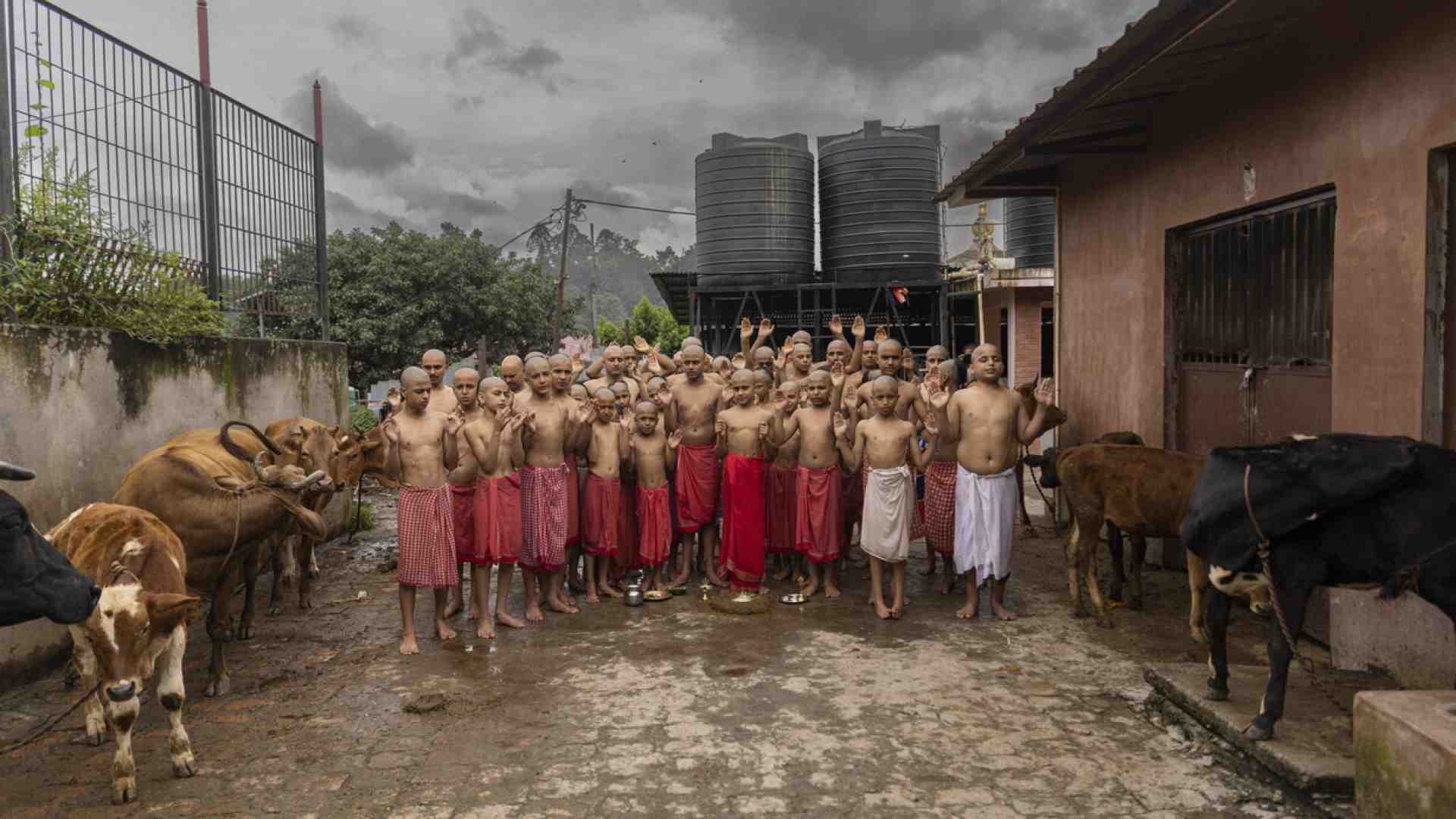 L'importanza di distrarsi