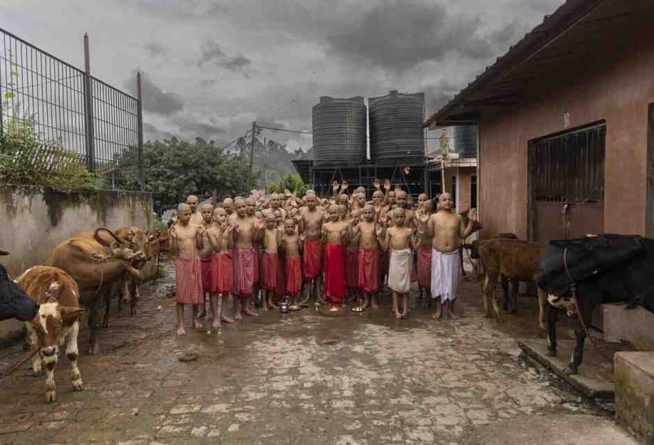 L'importanza di distrarsi