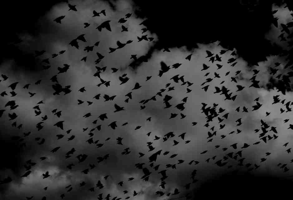 Chissà perché faccio sempre gli incubi