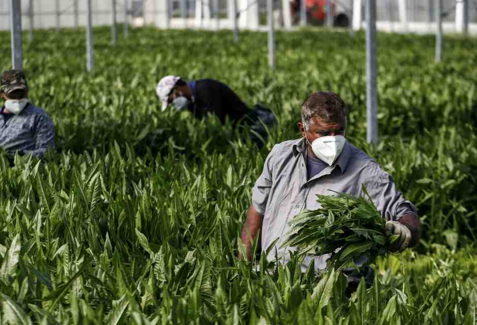 Un’altra strada sui migranti si può