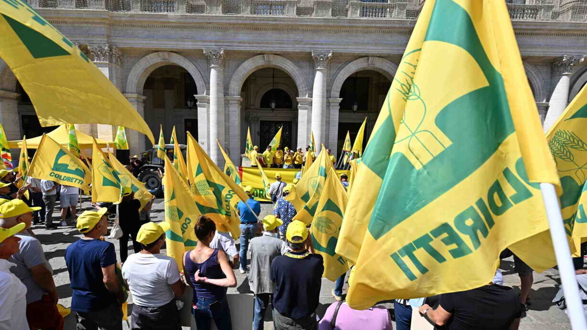 Coldiretti e Psa. Botta e risposta con il presidente Prandini sull'emergenza peste suina