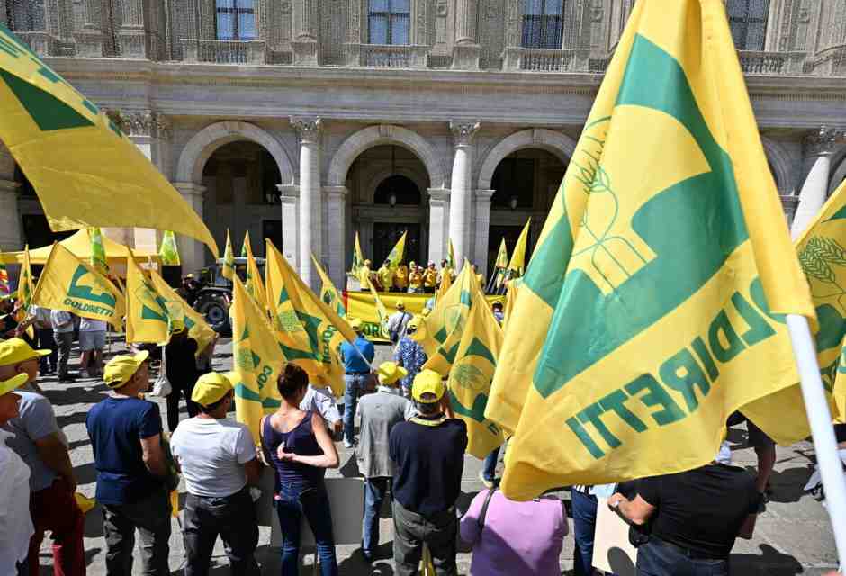 Coldiretti e Psa. Botta e risposta con il presidente Prandini sull'emergenza peste suina