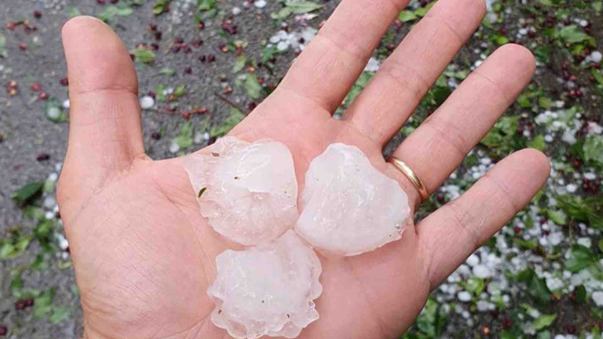 Il Creato chiede una scossa