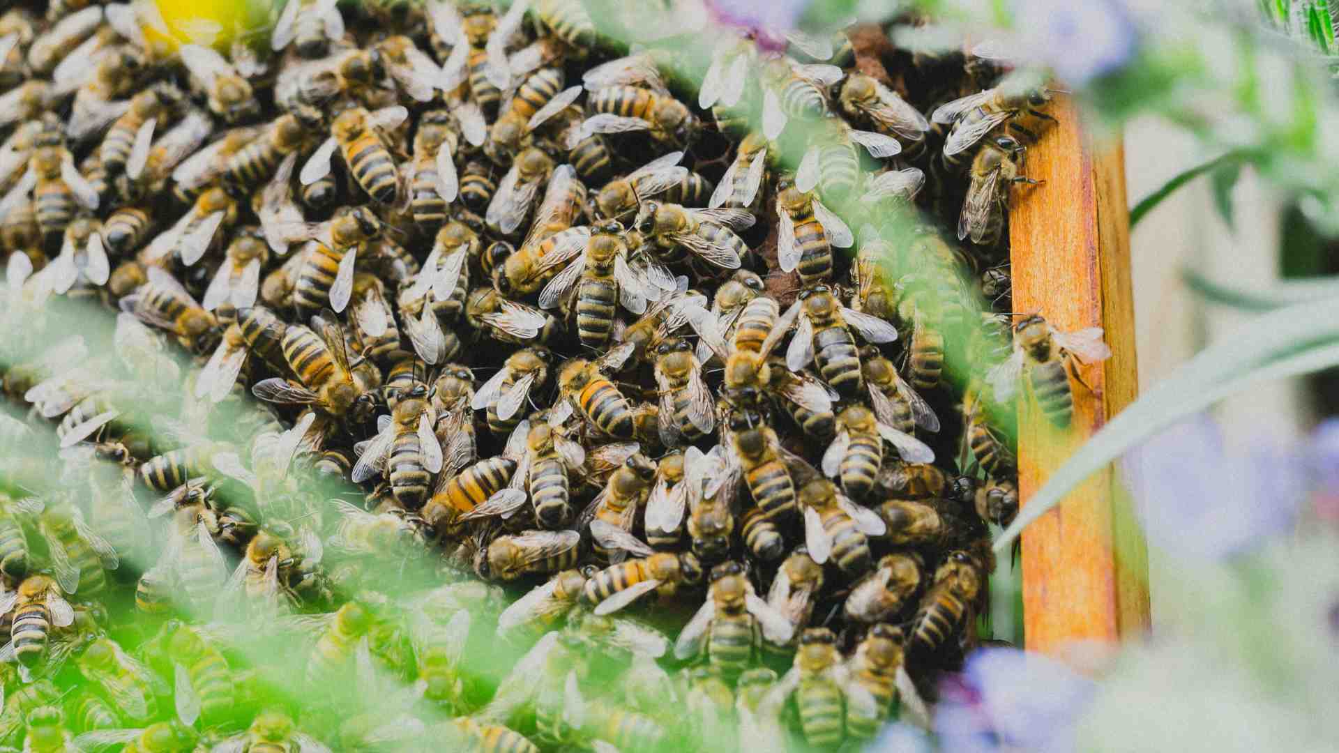 Ecco tutte le bugie che l'ecologia bio-illogica mette in giro per spaventarci