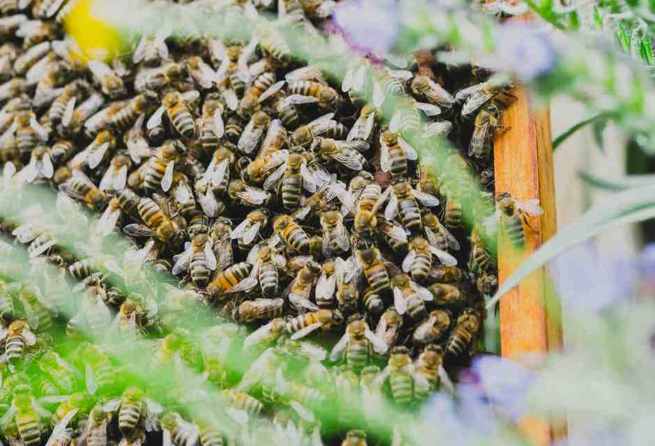 Ecco tutte le bugie che l'ecologia bio-illogica mette in giro per spaventarci