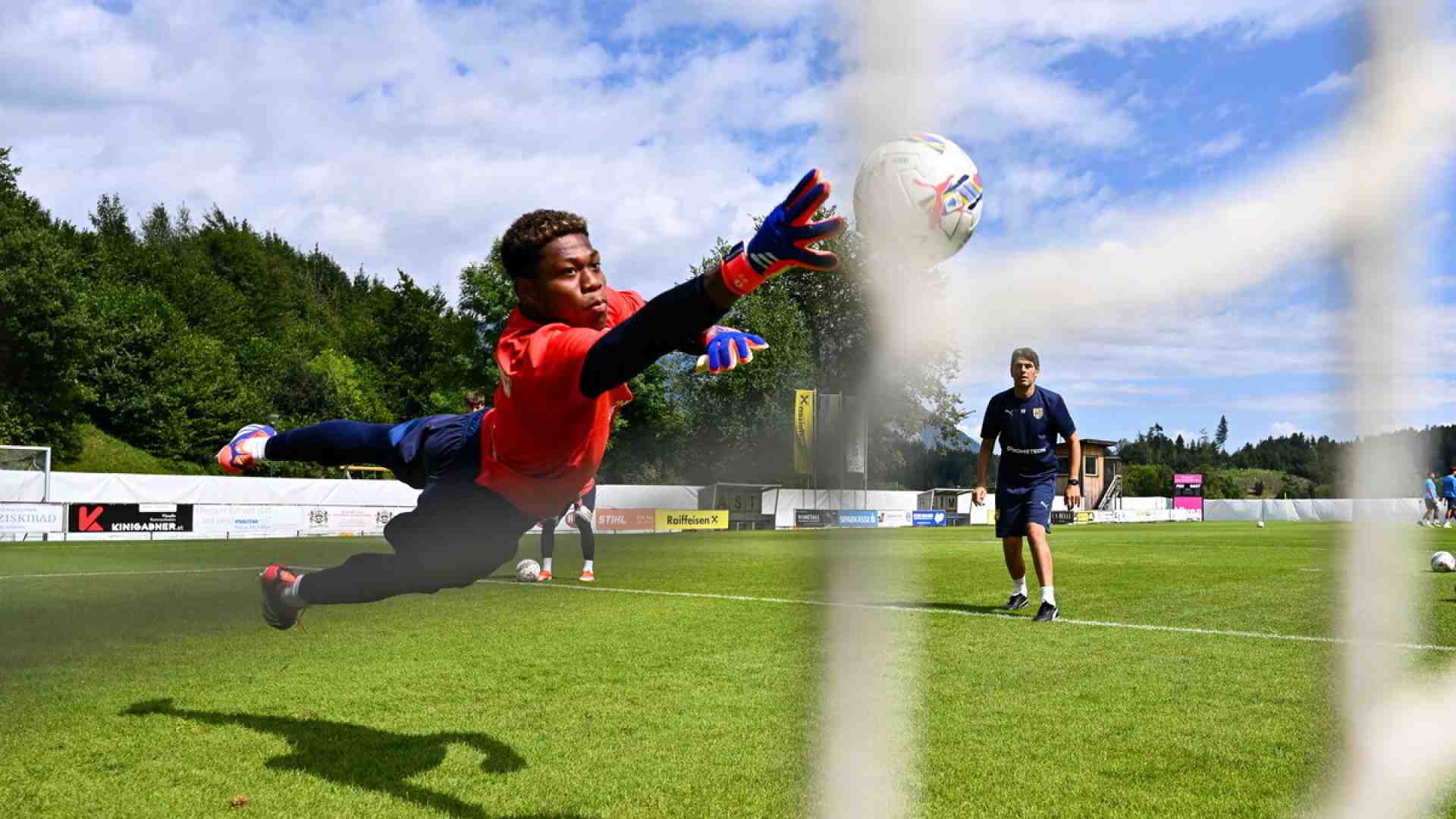 Zion Suzuki, iron, lion, zion