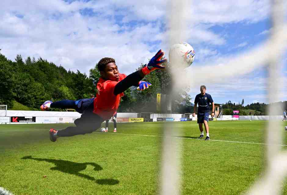 Zion Suzuki, iron, lion, zion
