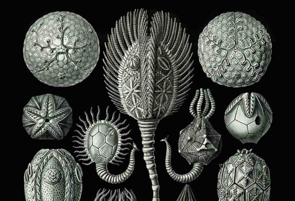 Contro la peer review e il "consenso totale"