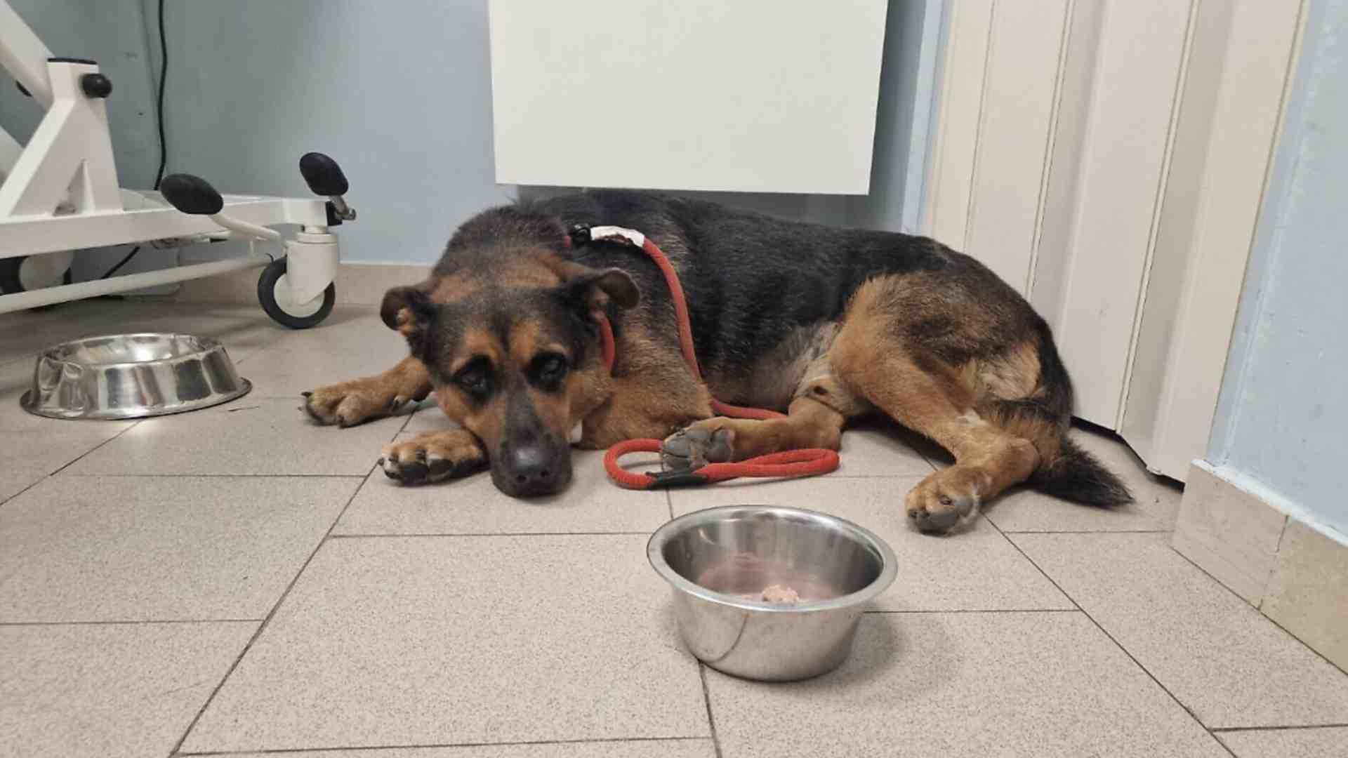 Lettere da Taranto, dove non ci sono solo Ilva, polveri e povertà