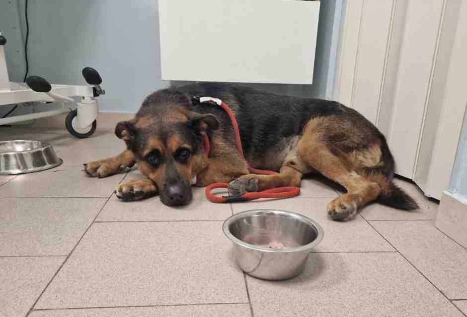 Lettere da Taranto, dove non ci sono solo Ilva, polveri e povertà