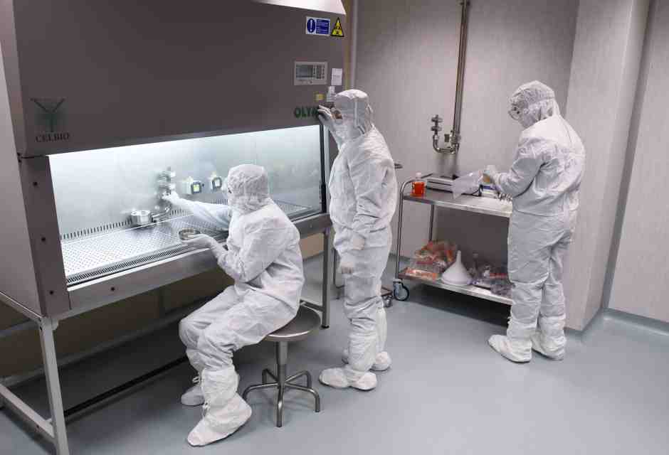 Creare una cellula da zero