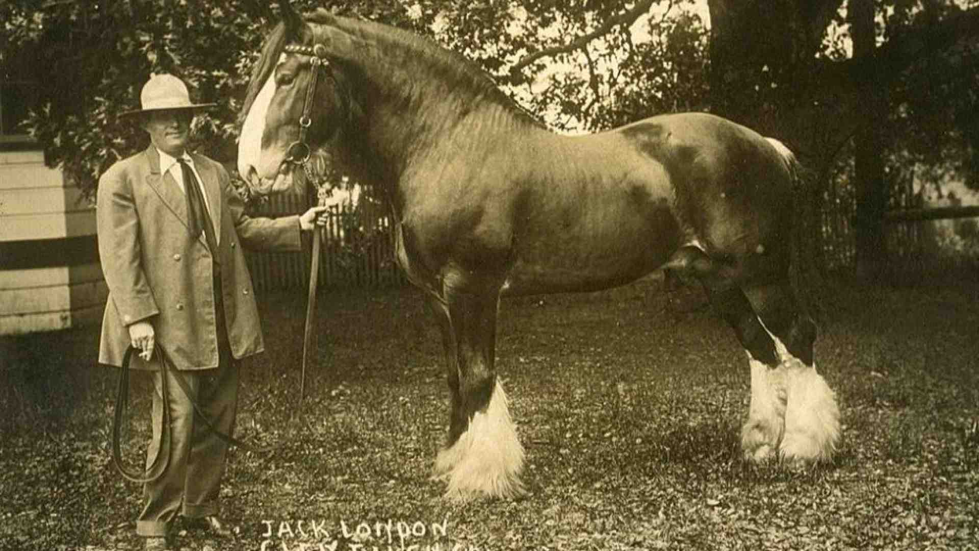 Letteratura e immagini, a scuola sulle orme di Jack London