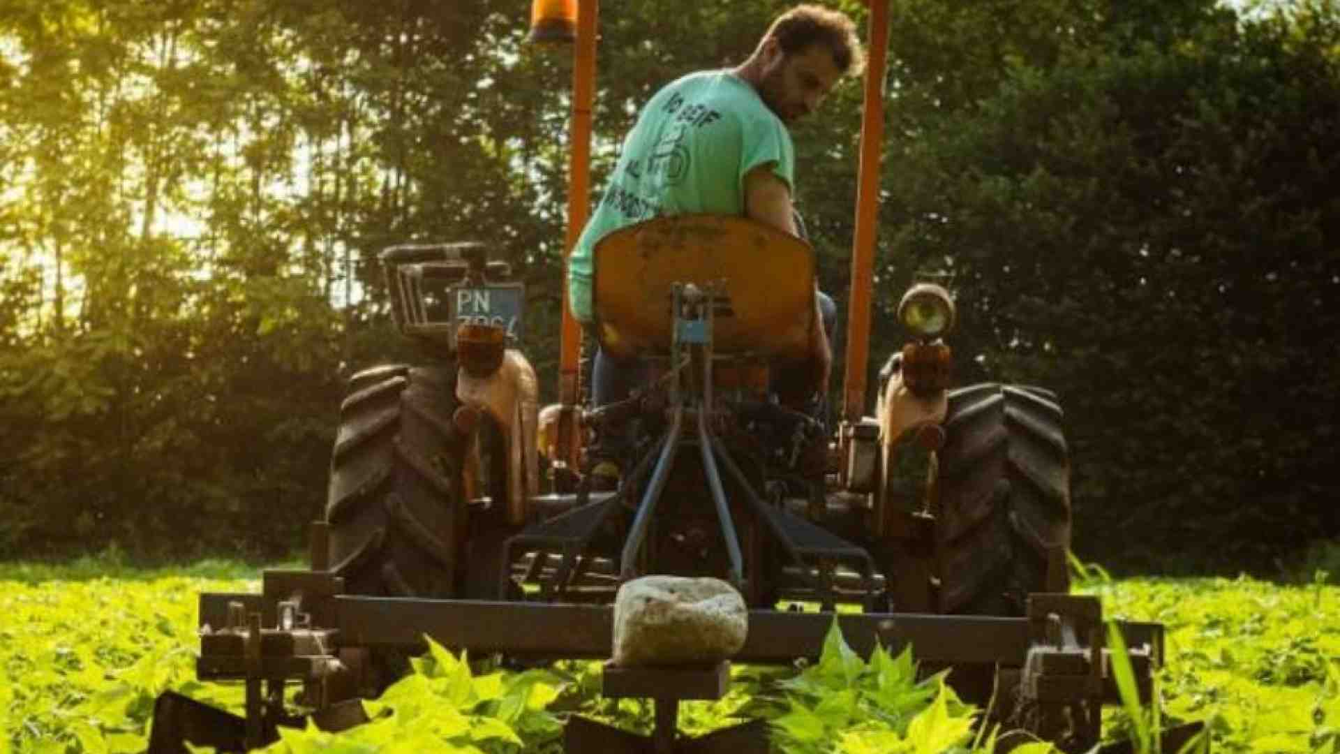 Le proposte di Slow Food al G7 di Ortigia