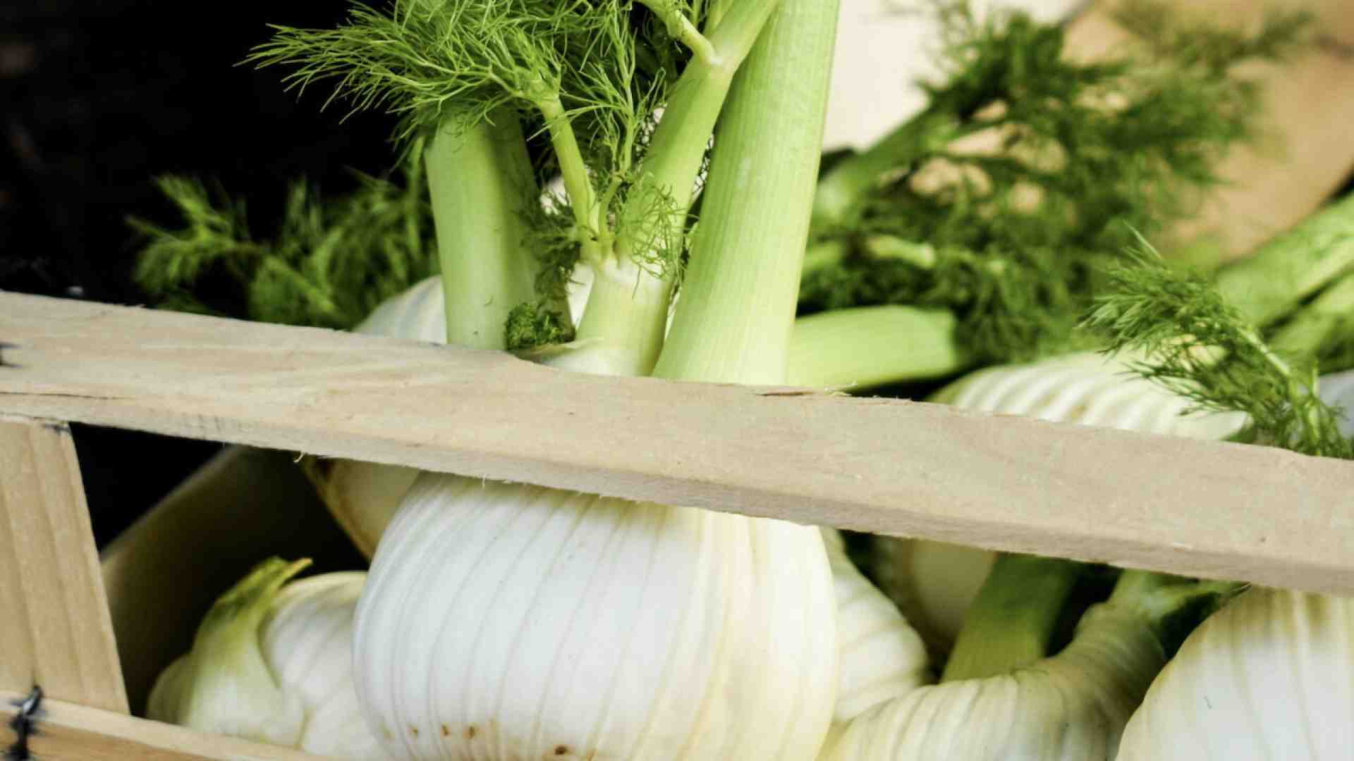 Ho scritto su Instagram "gelato al finocchio" e mi hanno tolto l'accesso al profilo