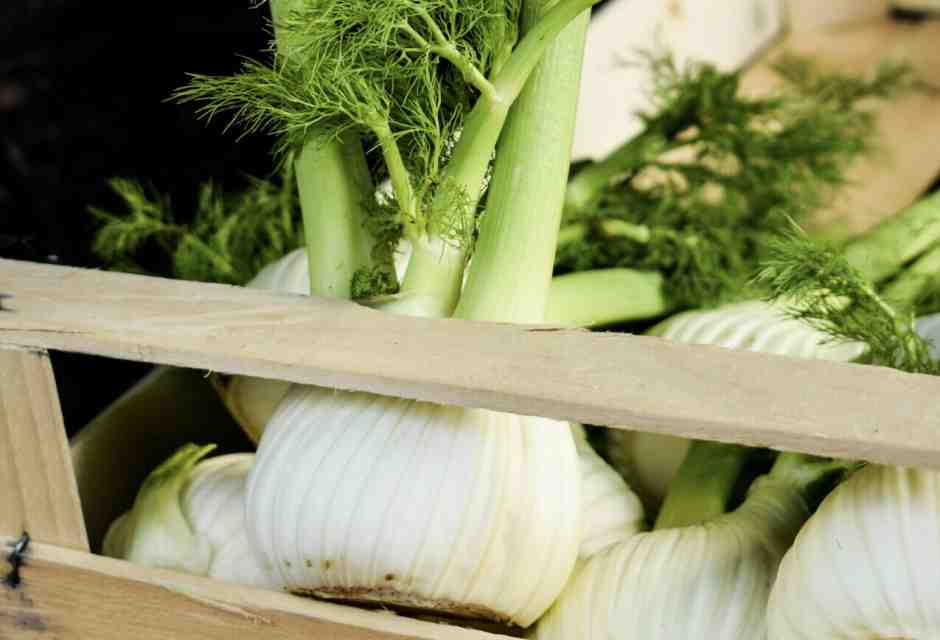 Ho scritto su Instagram "gelato al finocchio" e mi hanno tolto l'accesso al profilo