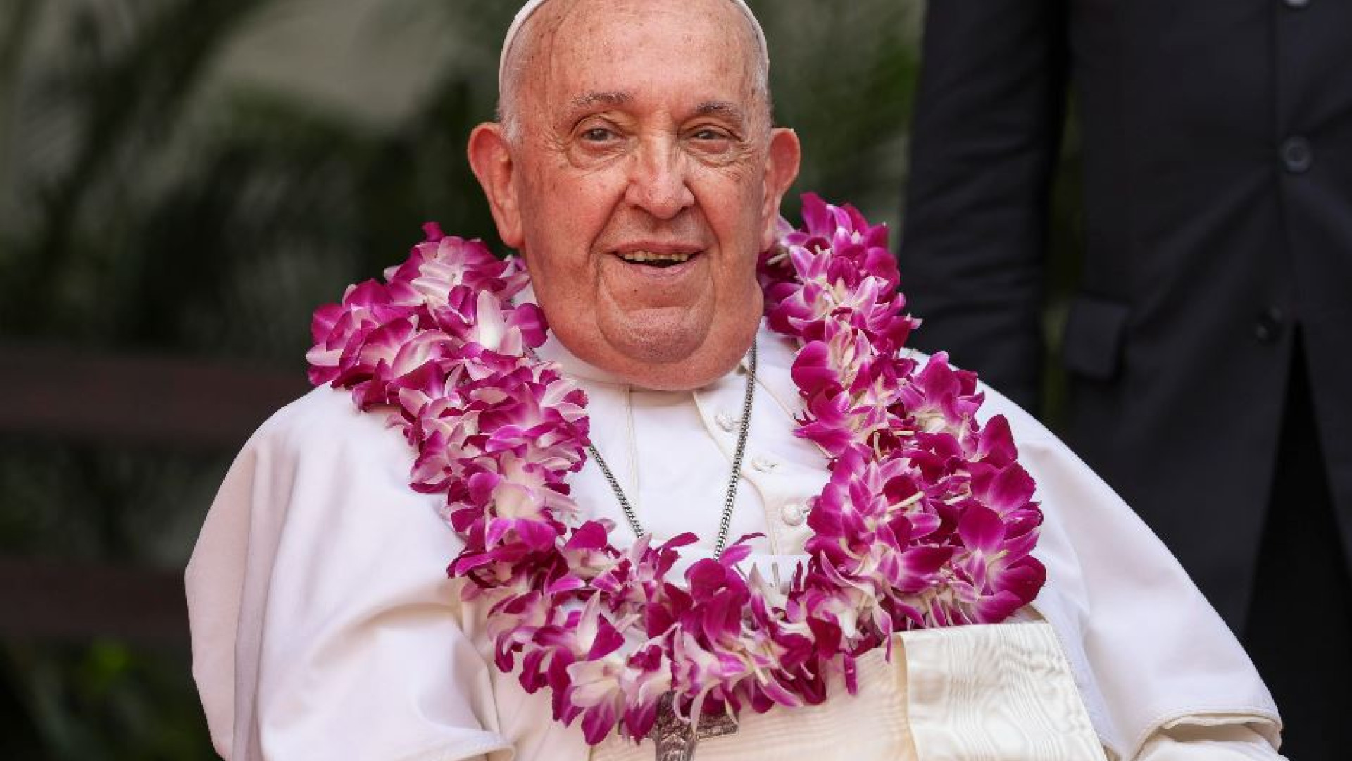 La semina di Francesco Saverio e la pianta viva 500 anni dopo