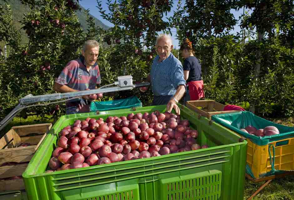Contro i cattivi maestri di Slow Food