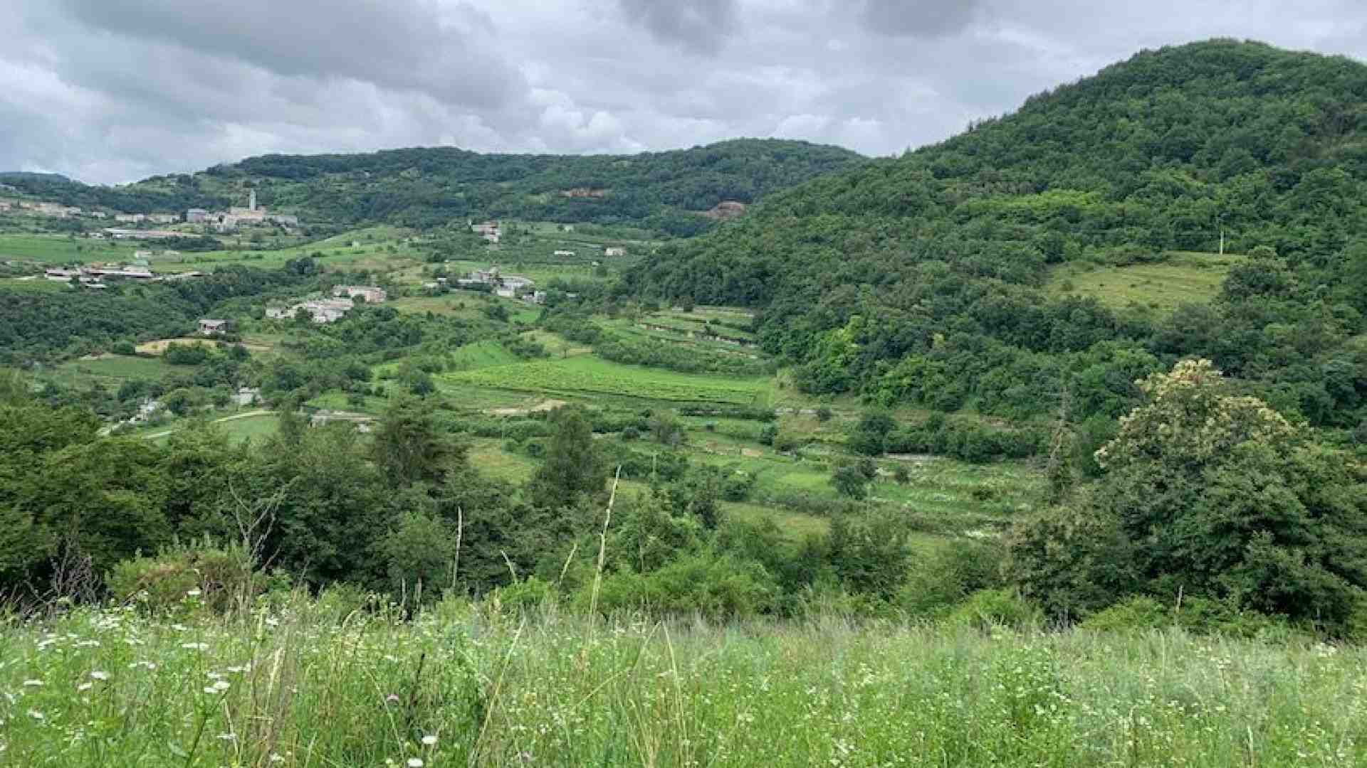 Attorno a Cerna il fitto verde incontra la fresca Valsorda