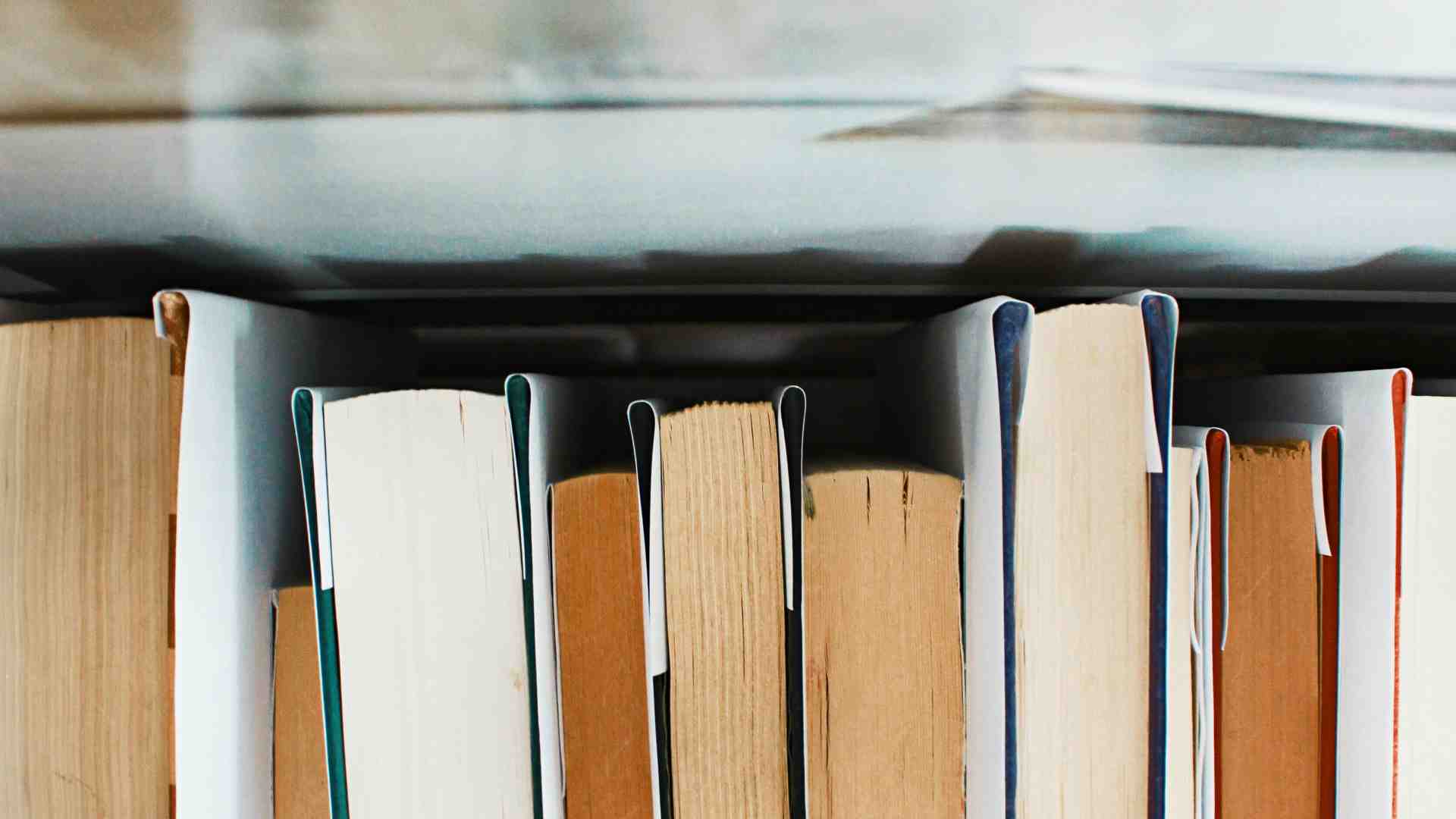 Se quel che resta del woke è solo un'inondazione di libri brutti