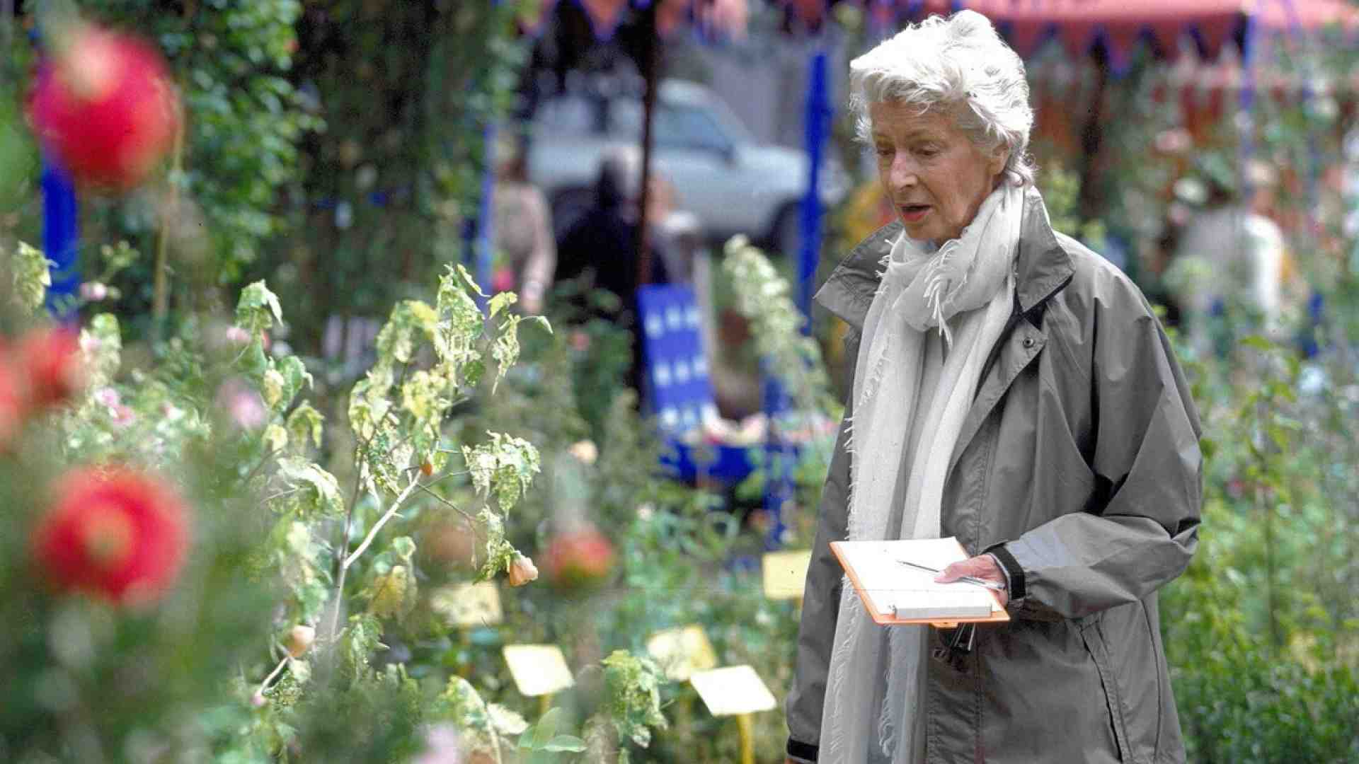 Cosa c'entrano i giardini di Marella con le accuse ai fratelli Elkann