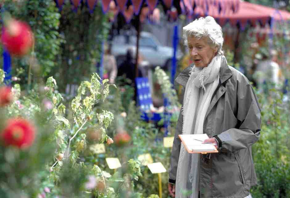 Cosa c'entrano i giardini di Marella con le accuse ai fratelli Elkann