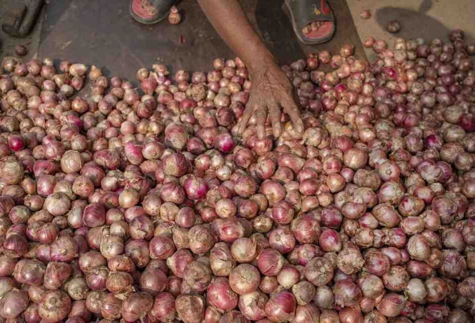 Così un deputato dell'Afd sfrutta i prigionieri politici di Lukashenka per coltivare cipolle in Bielorussia