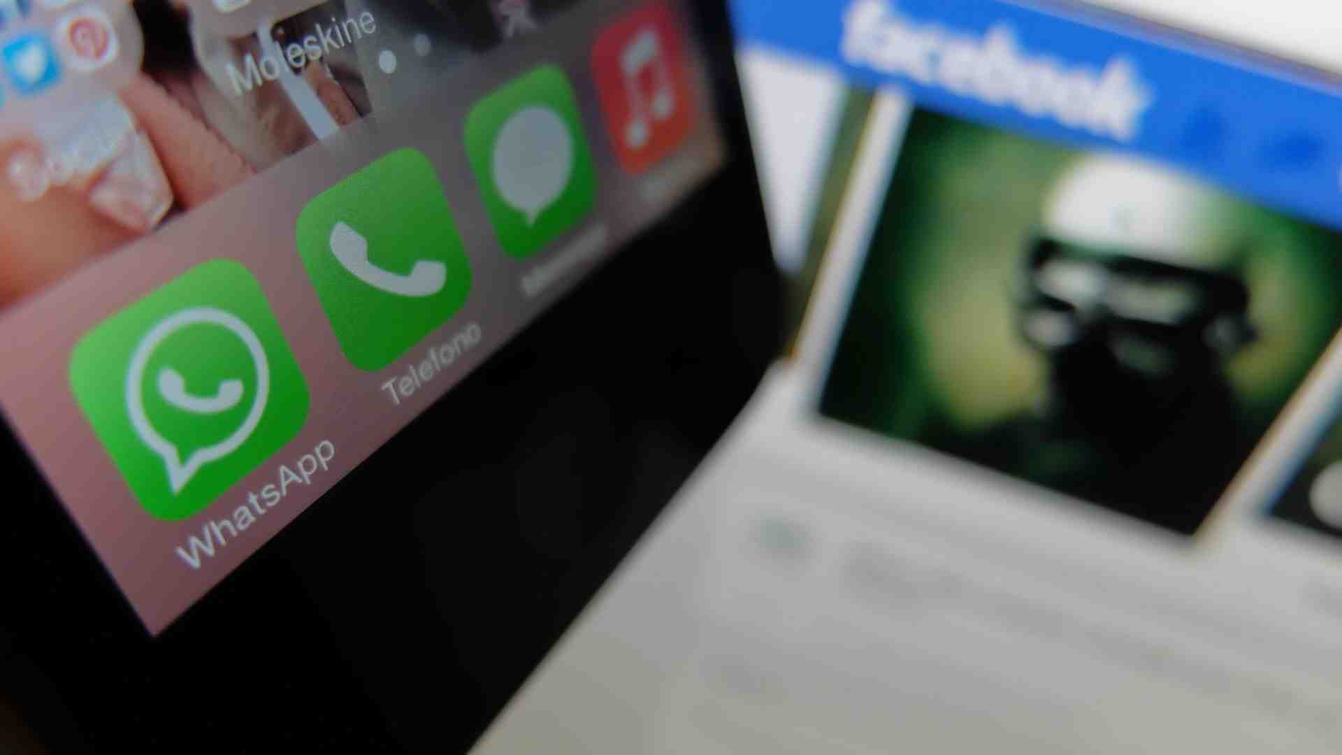 Amorazzi a saltello e relazioni prova. Indagine romantica sugli amori larva. Un libro, con matita