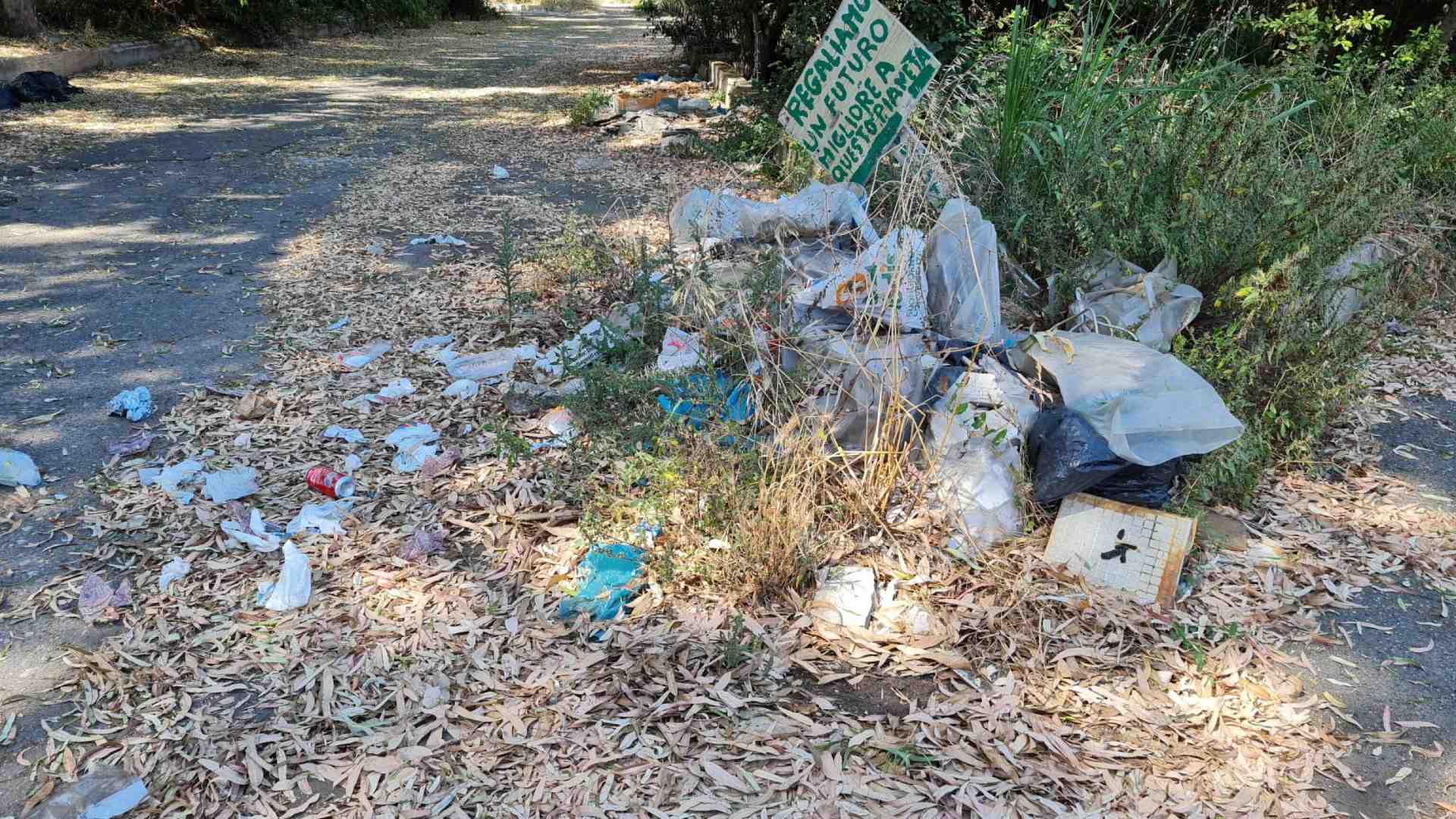 Come affrontare l'inquinamento da nanoplastiche