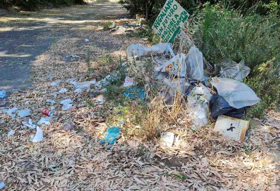 Come affrontare l'inquinamento da nanoplastiche