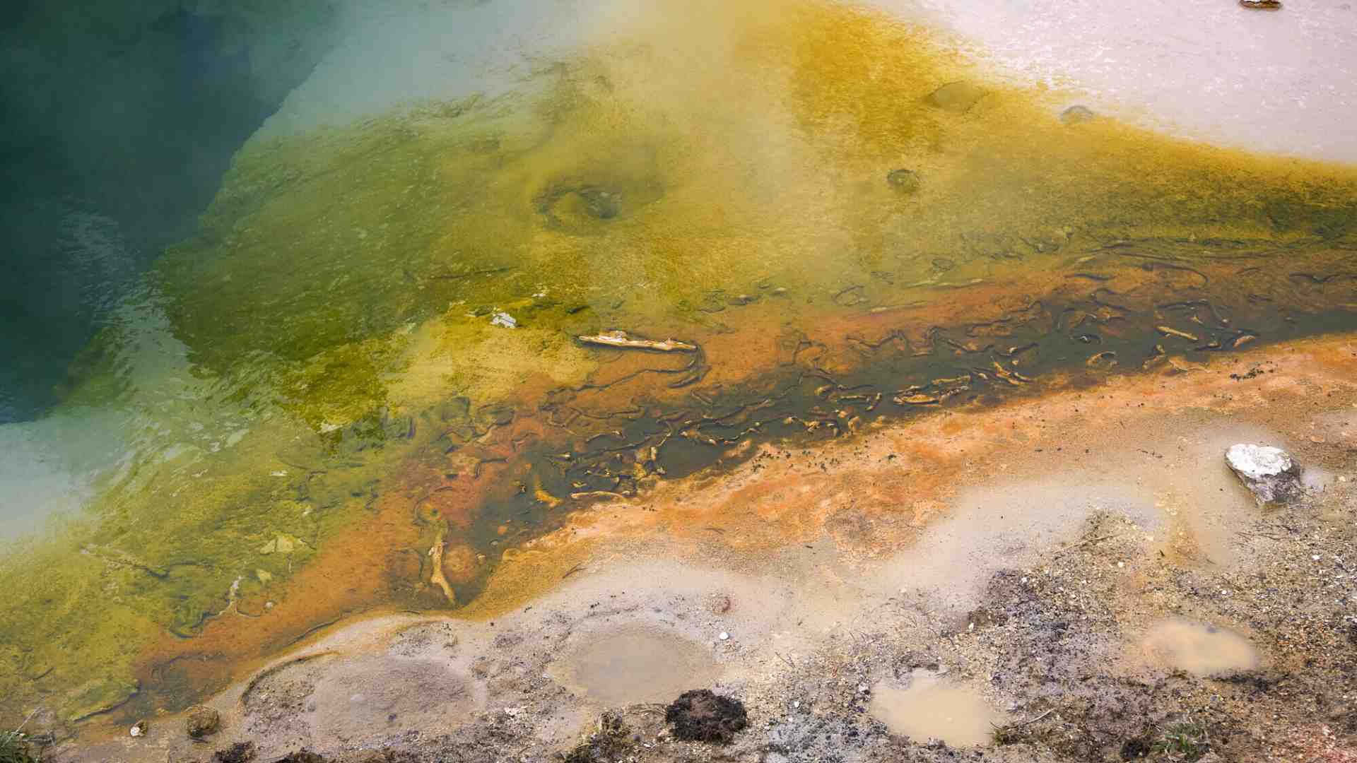 Otto passi sulla strada per la vita