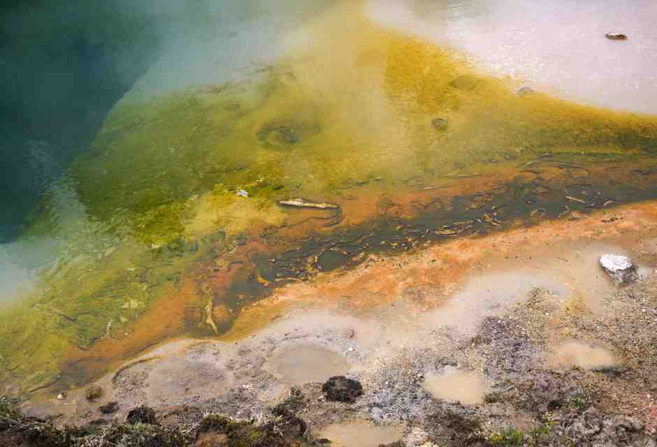 Otto passi sulla strada per la vita