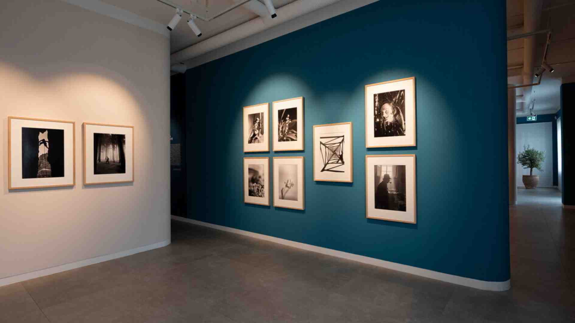 Il Novecento di Fosco Mariani: poco appariscente e molto godibile