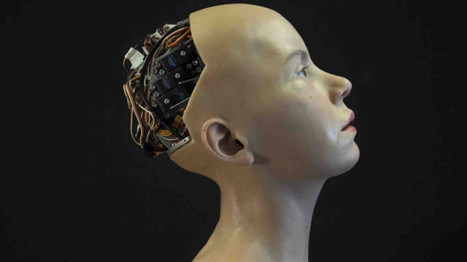 All'Internet Festival di Pisa emergono i paradossi dell'Italia sul digitale