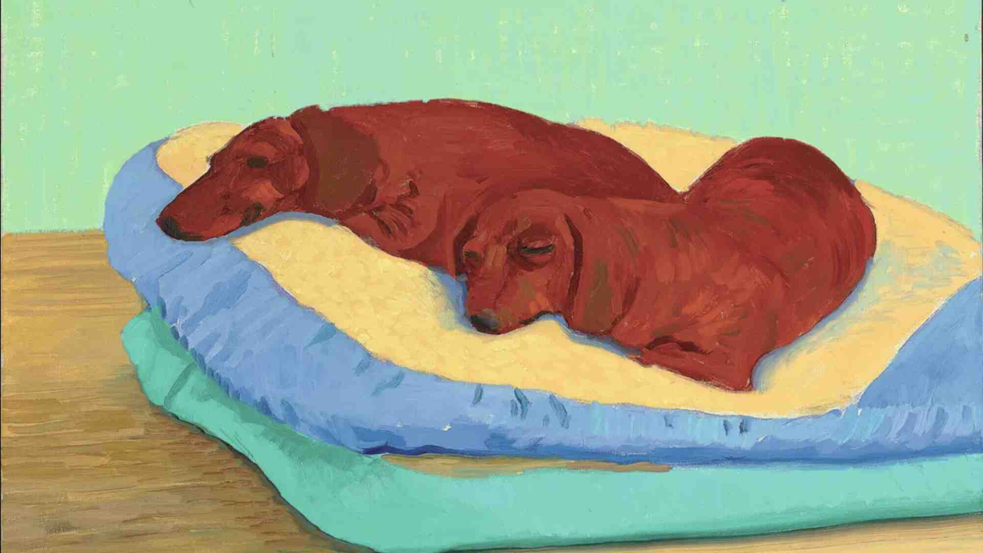 Cani degni d’essere raccontati