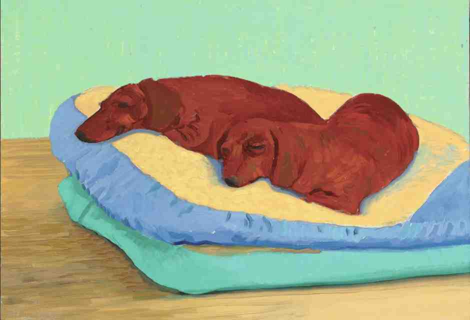 Cani degni d’essere raccontati