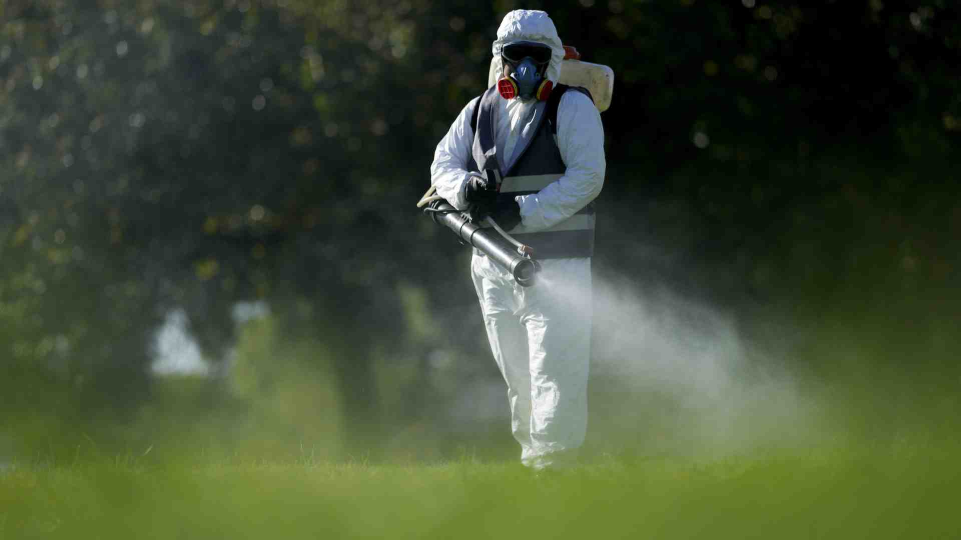 E se usassimo il Ddt per debellare la dengue?